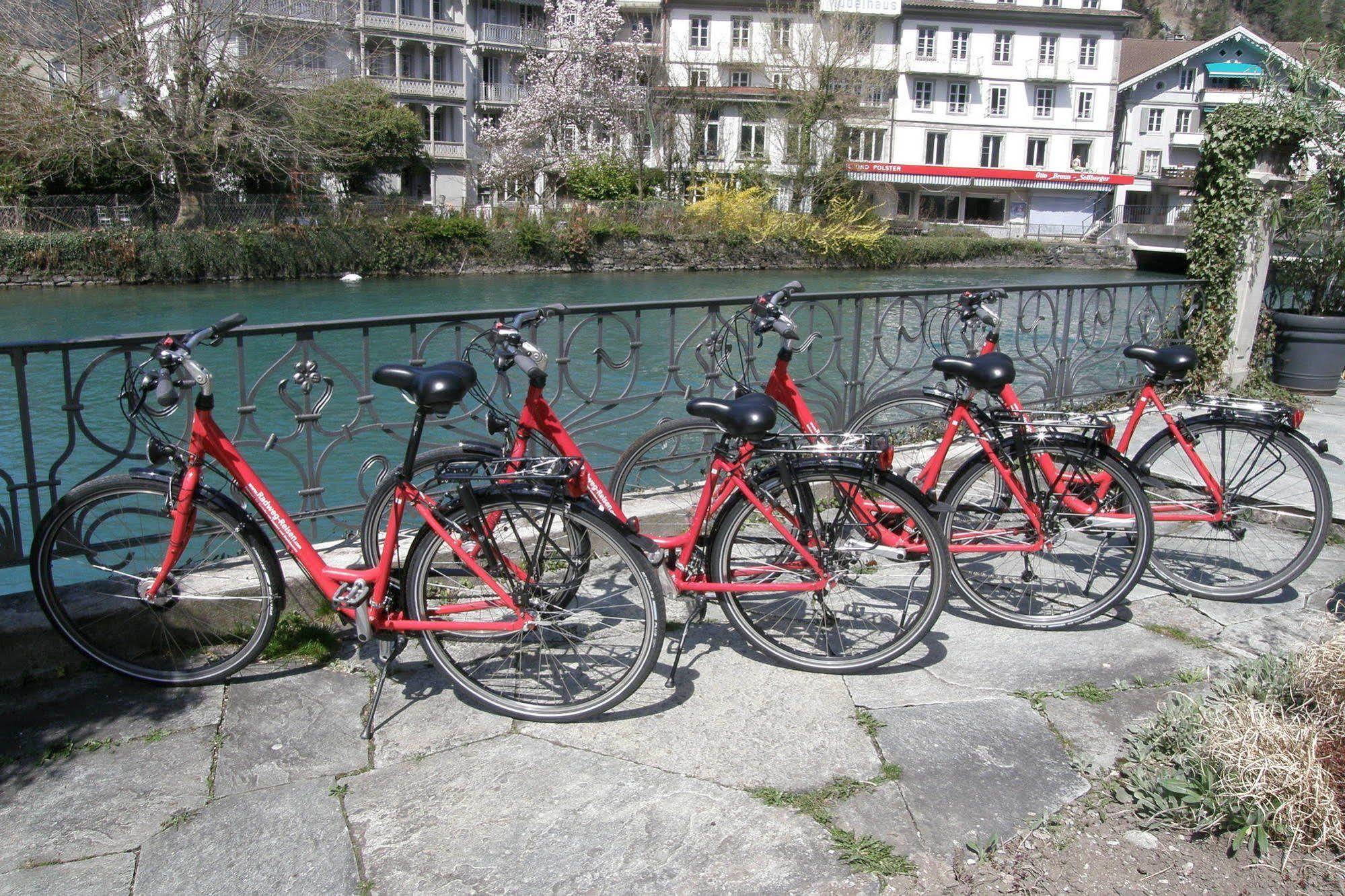 Alplodge Interlaken Eksteriør billede